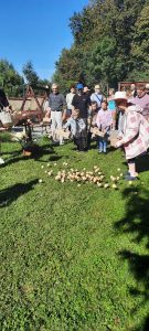IMG-20260929-WA0041 (1)