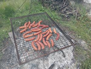 IMG20250520102945
